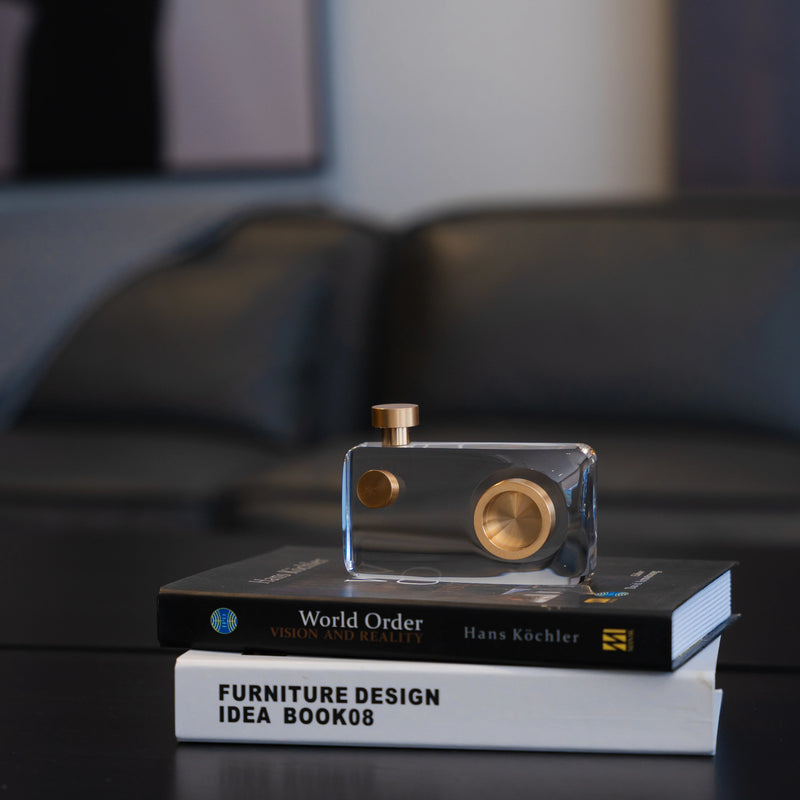 Playback Twin-Lens Camera Sculpture